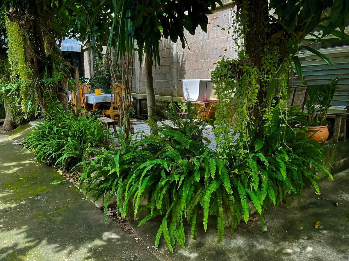 Kwanlah Homestay Mae Chaem Exteriér fotografie