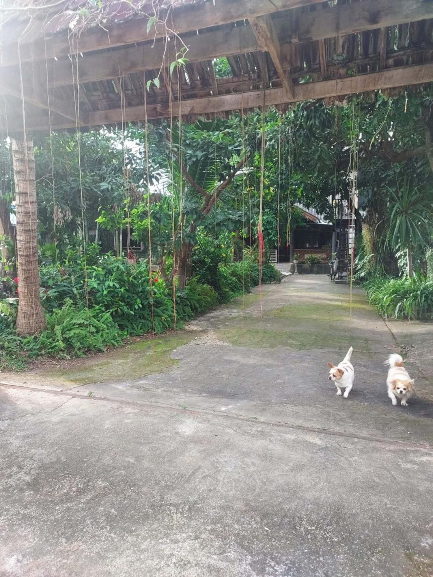 Kwanlah Homestay Mae Chaem Exteriér fotografie